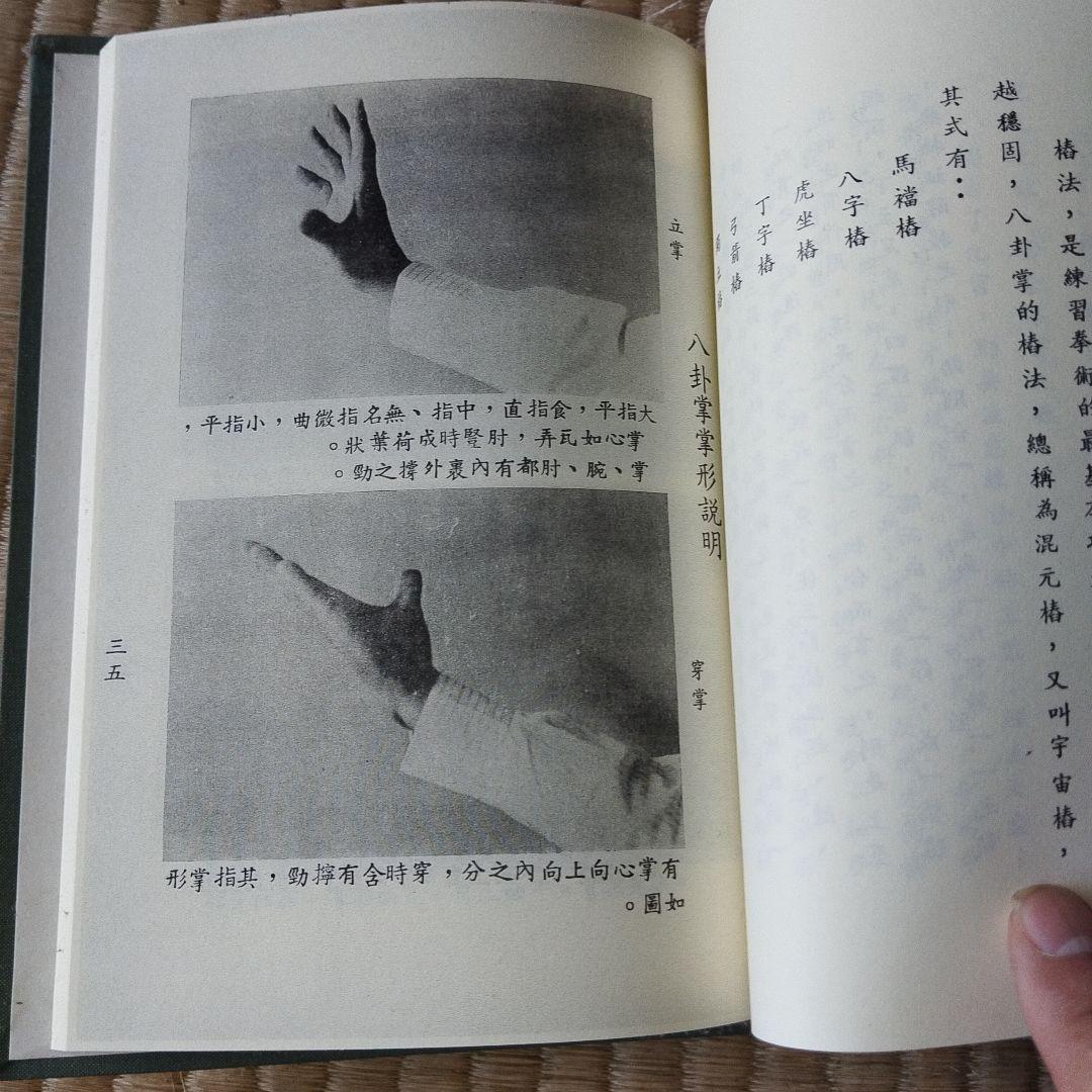 entityさん専用　八卦連環掌 八卦遊身掌　王樹金