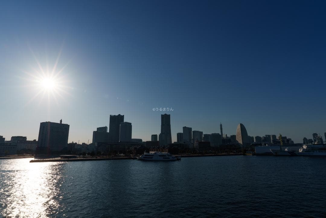 YoshiT様 VLOG時代の標準レンズ！SONY FE 20mm F1.8 G