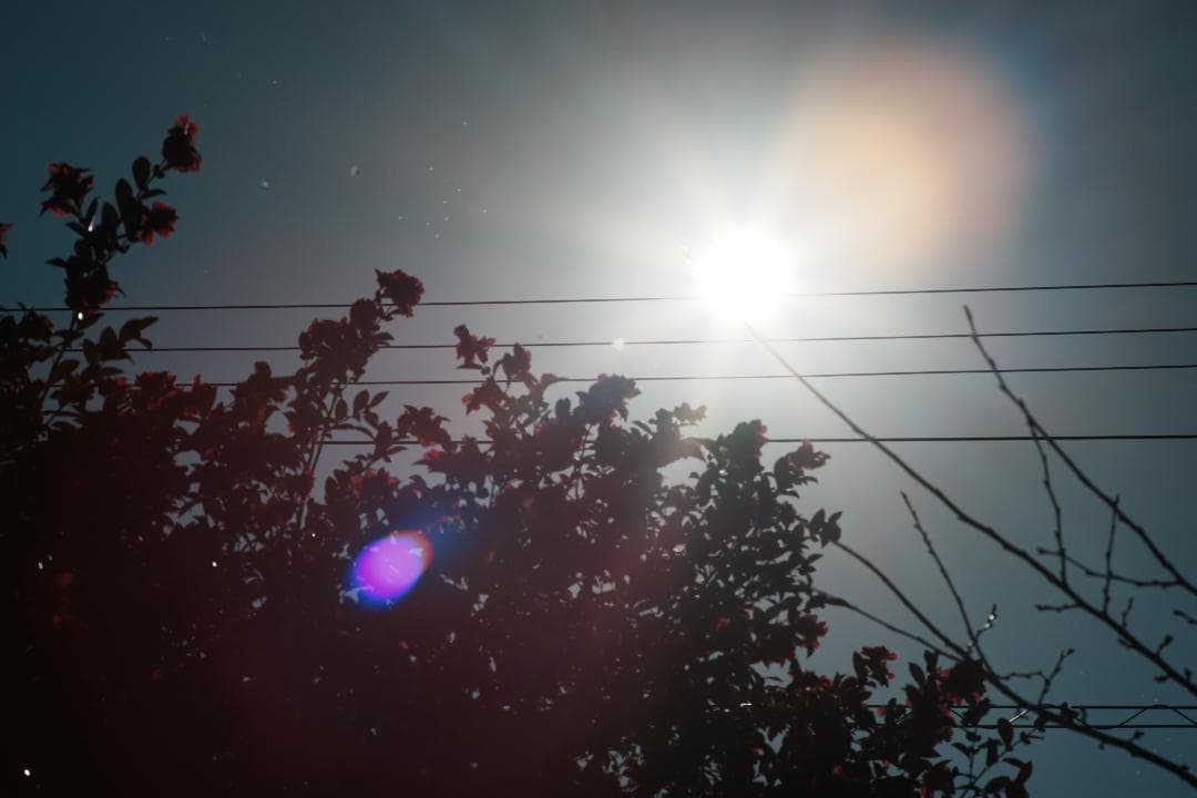 【整備テスト】オリンパス Zuiko Auto-T 135mm F2.8 435