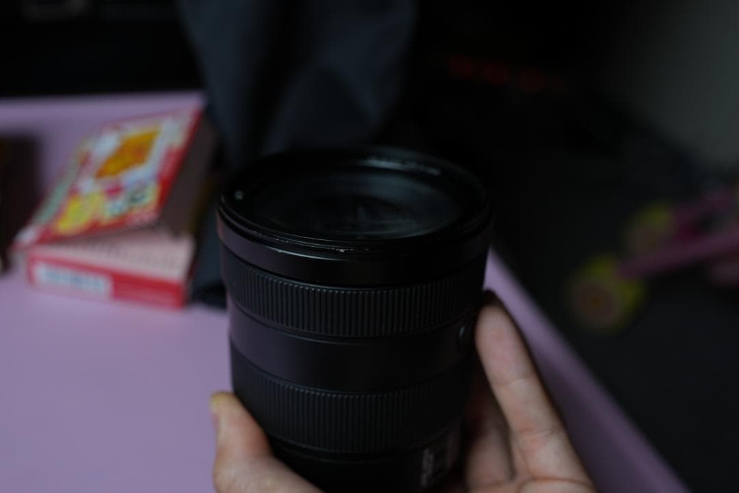 デジタルカメラ FE 24-105mm F4 G OSS