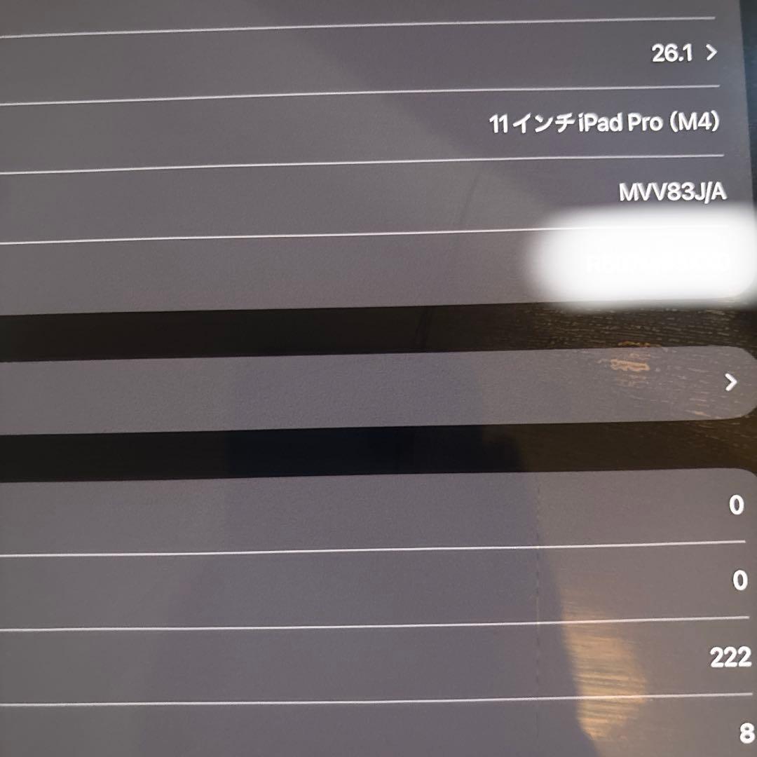 iPad pro 2024 11インチ M4 256GB WiFi