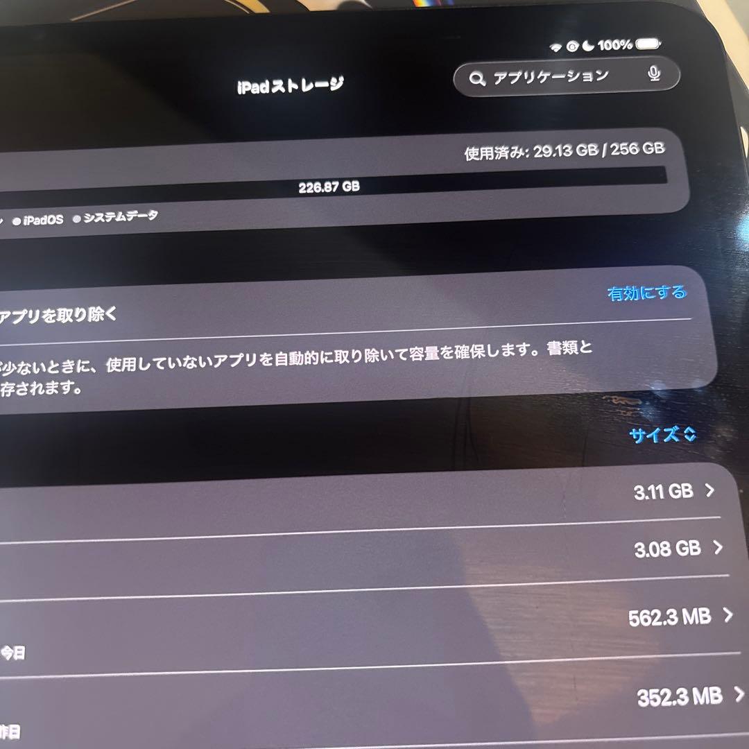 iPad pro 2024 11インチ M4 256GB WiFi