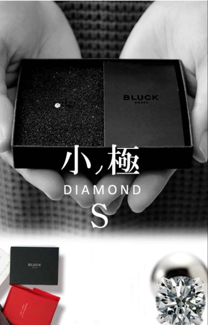 小ノ極 Sグレード ダイアモンド ピアス 16G 6mm