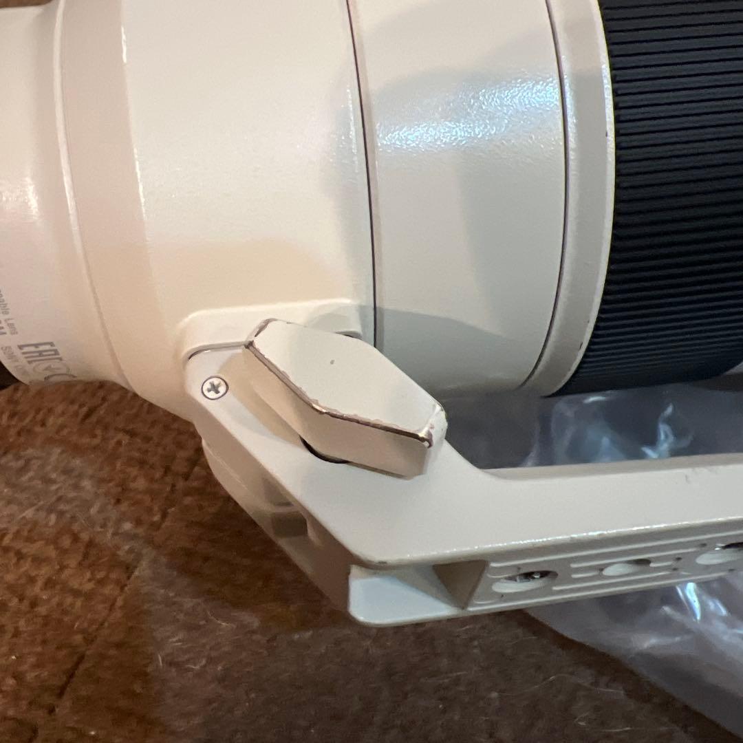 Sony SEL70200GM 70-200mm F2.8 ズームレンズ