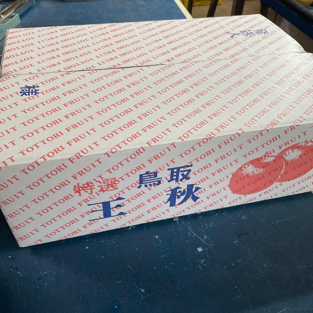 すみちゃん　鳥取県産 王秋梨10キロ