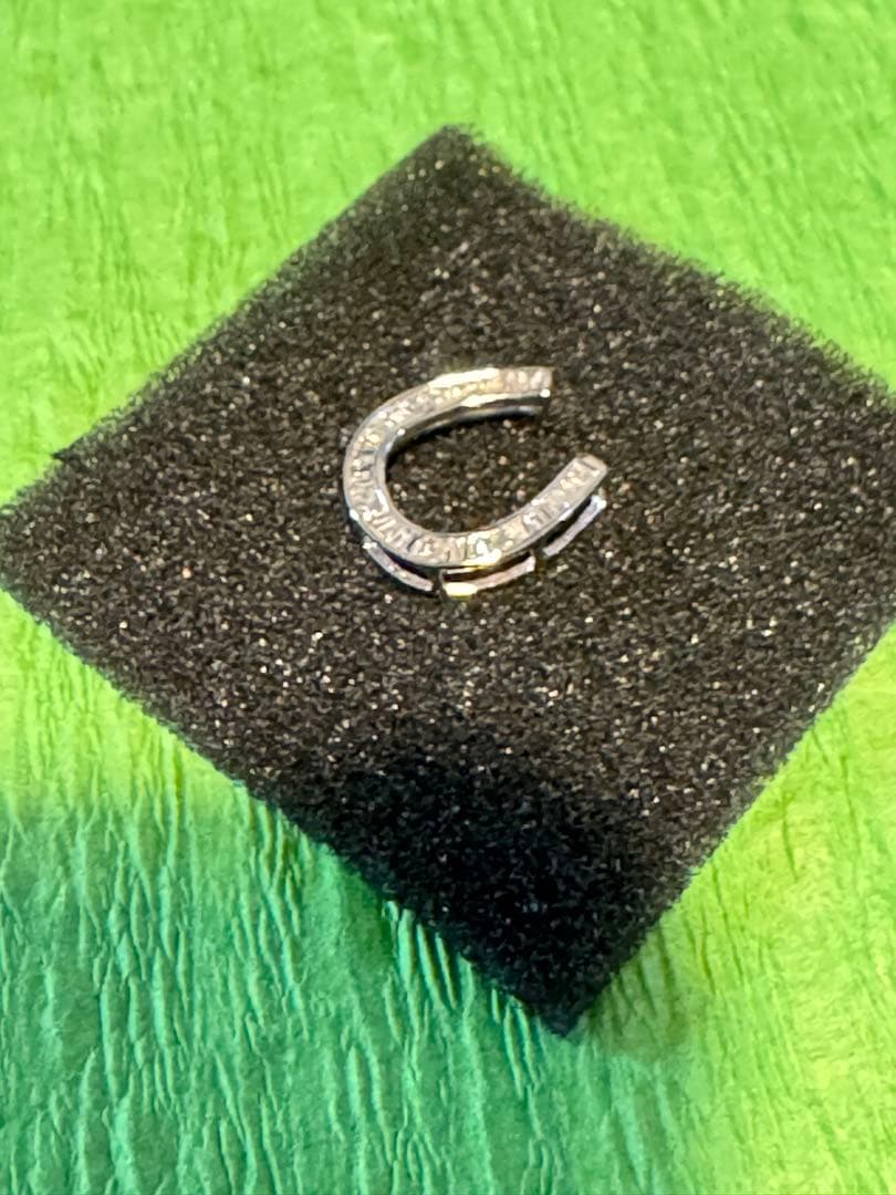 ダイヤモンド　馬蹄形チャーム　K18 0.2カラット　未使用新品