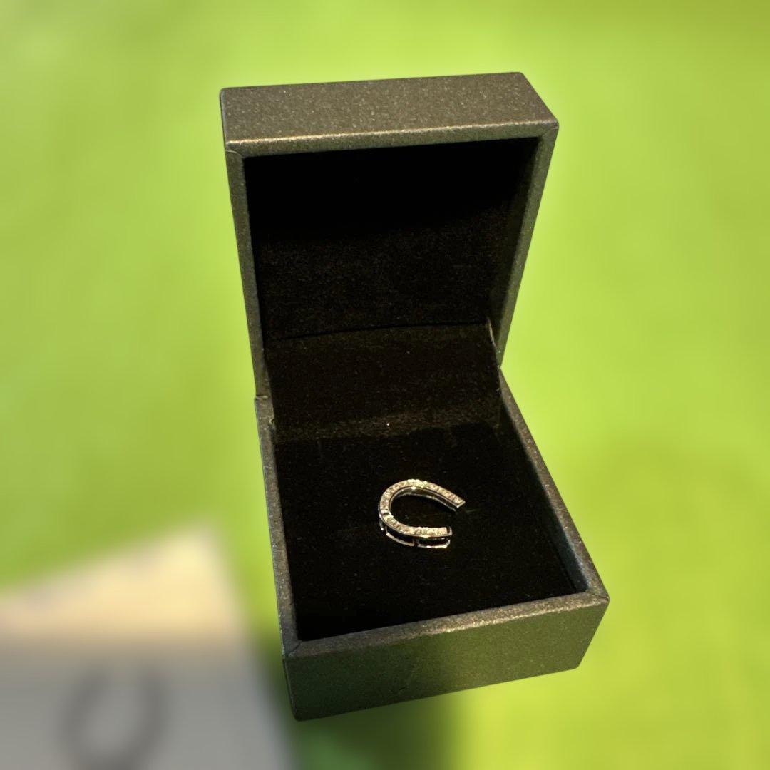 ダイヤモンド　馬蹄形チャーム　K18 0.2カラット　未使用新品