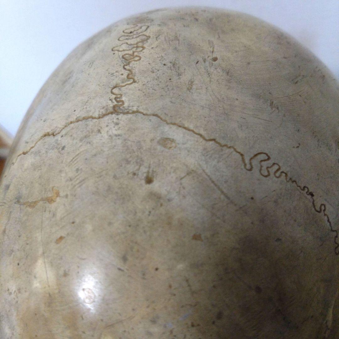 レトロな木箱入　頭蓋骨　　模型　田中狐峯製品