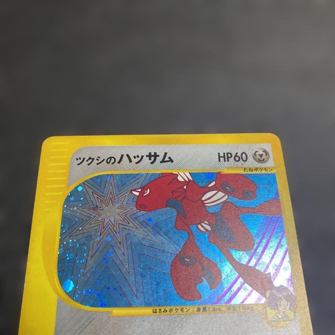 No.1075 ツクシのハッサム