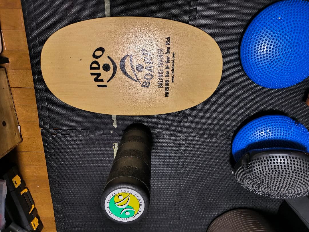 INDO BOARD バランスボード