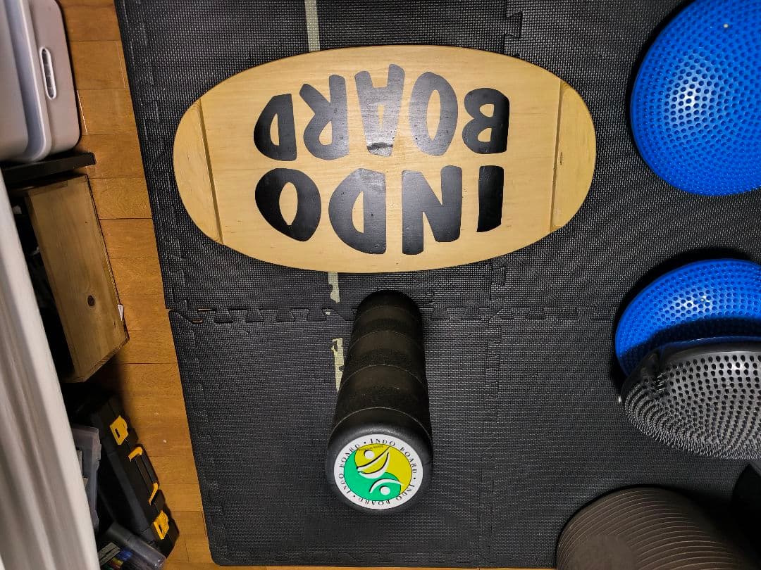 INDO BOARD バランスボード