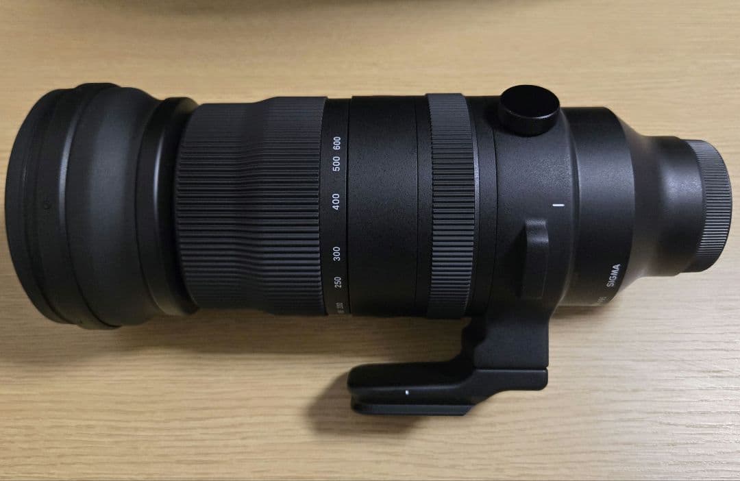 Sigma 150-600mm F5-6.3 DG DN OS ソニーEマウント