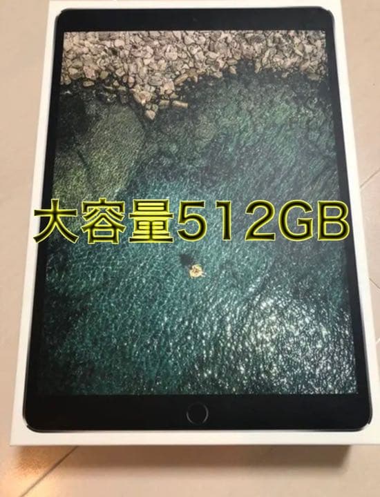 その他 APPLE iPad Pro IPAD PRO 10.5 WI-FI 512GB