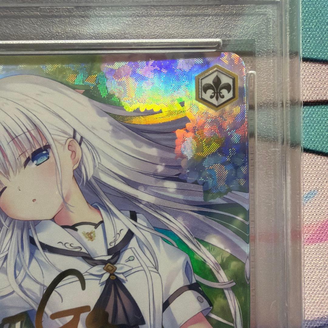 summer Pocket 夏が来りて　しろは　SEC PSA10