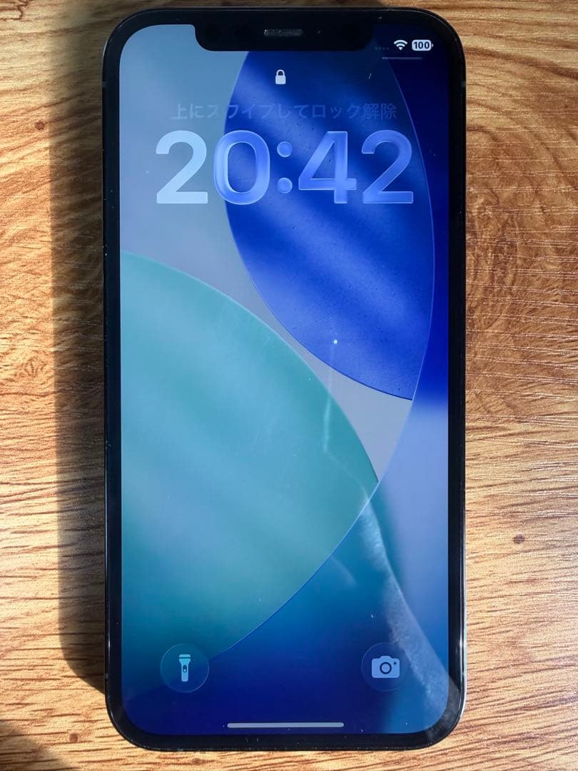 Apple iPhone 12 Pro パシフィックブルー　【本体動作確認済み】