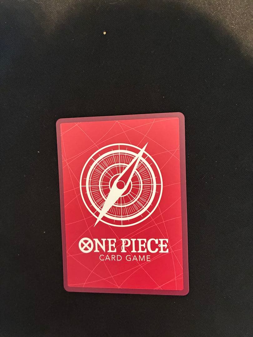 ゾロ　レカフィグ　リーダー