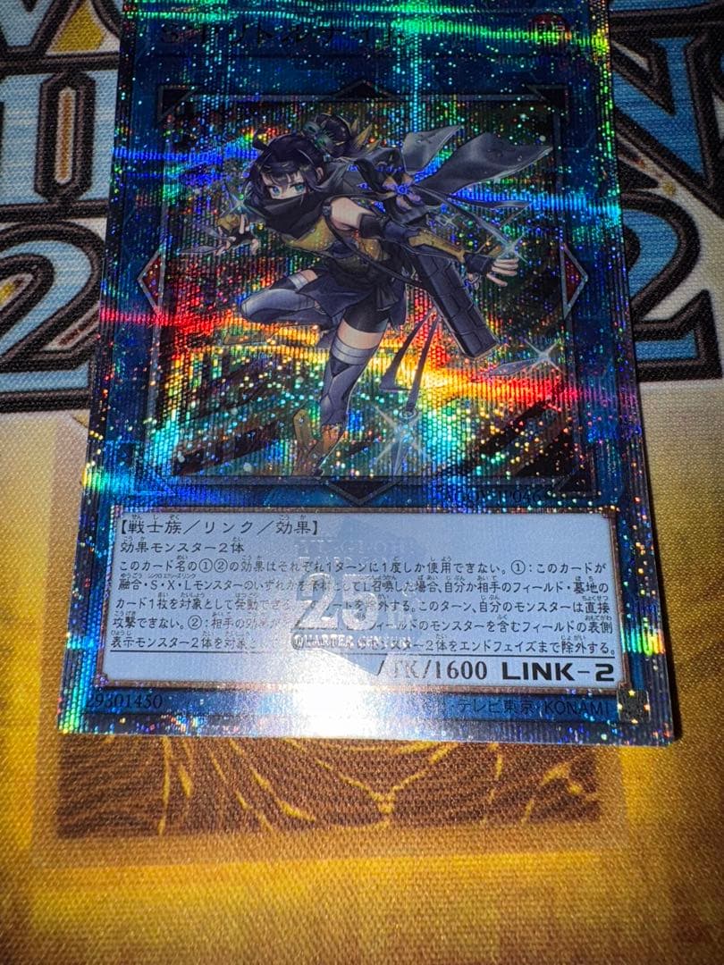 遊戯王　S:Pリトルナイト　クオシク