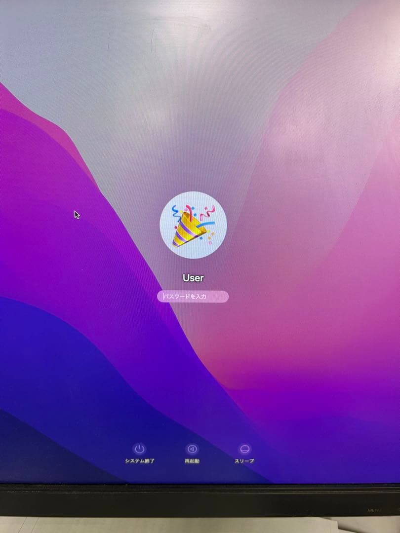 MacPro2013 / 4コア / 32GB / 250GB/ D300