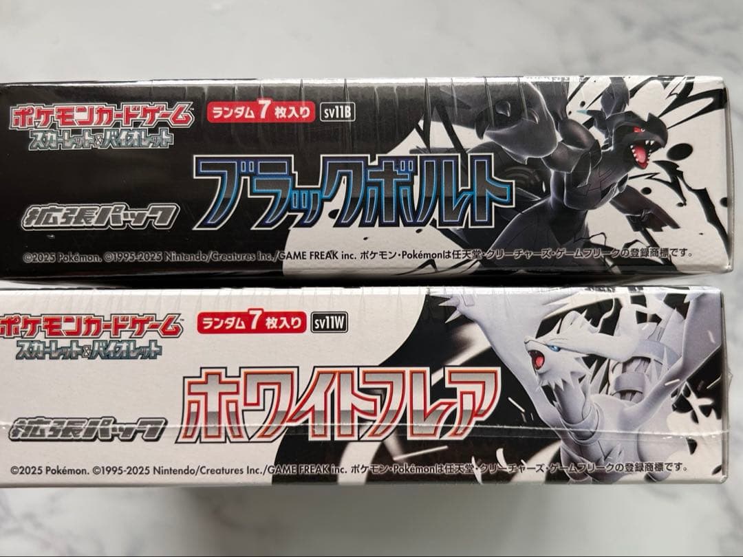 ポケモンカード カードファイル ブラックボルトデラックス
