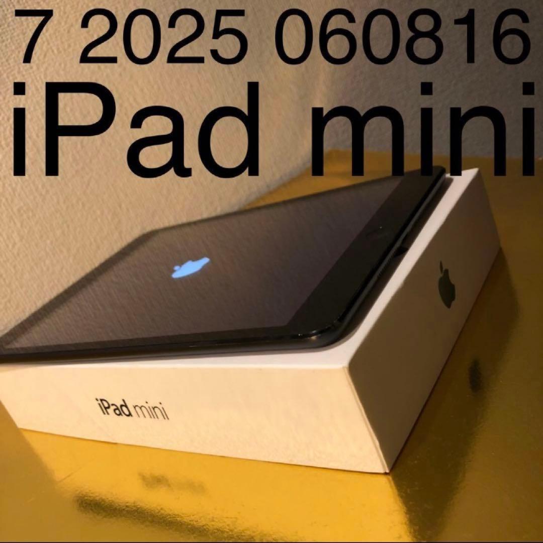 7 2025 060816美品 iPad mini アイパッドミニ 黒ブラック