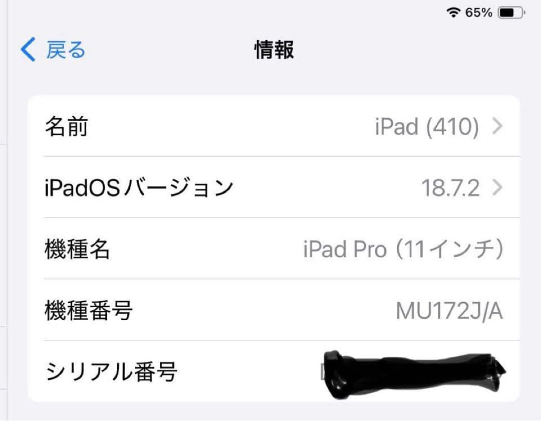 builuhavipa4 さん限りiPad Pro 11インチ 第1世代