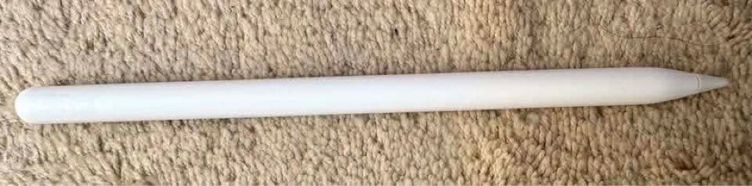 builuhavipa4 さん限りiPad Pro 11インチ 第1世代