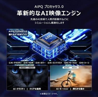 TCL 55T8B 55インチ 液晶テレビ 2024年製