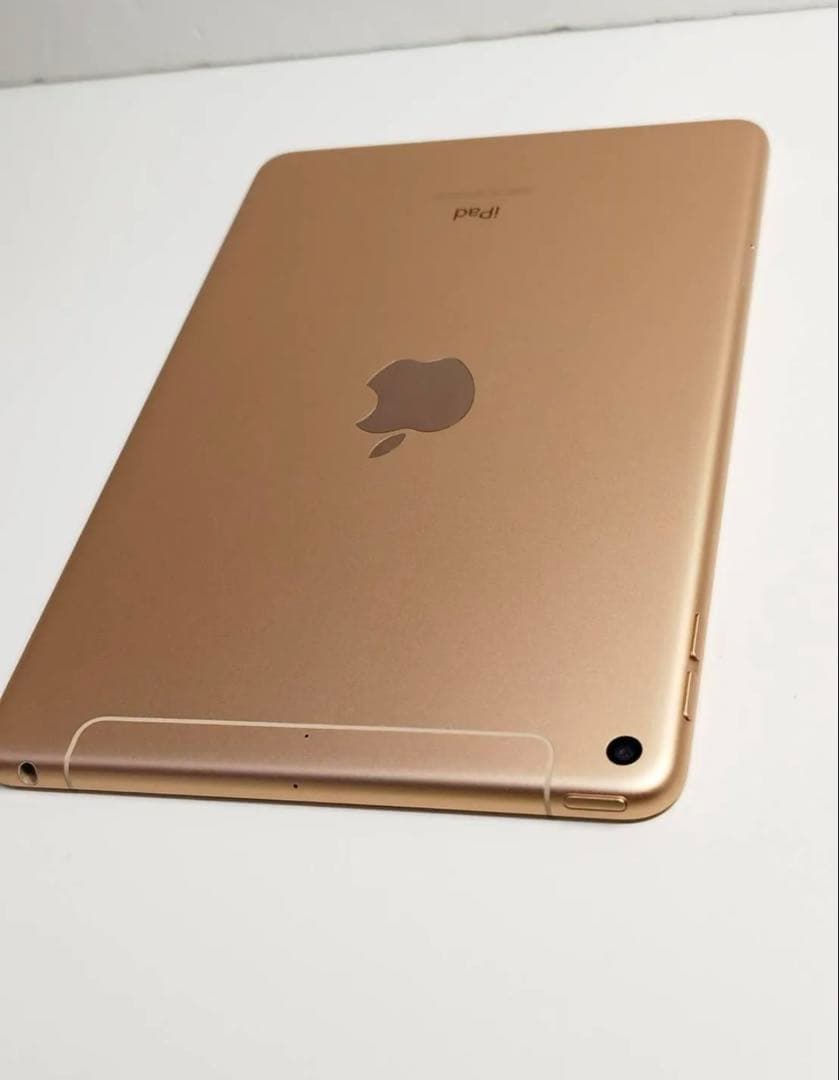 t*a様 良品iPad mini 5 WiFi+cellular256GB SI