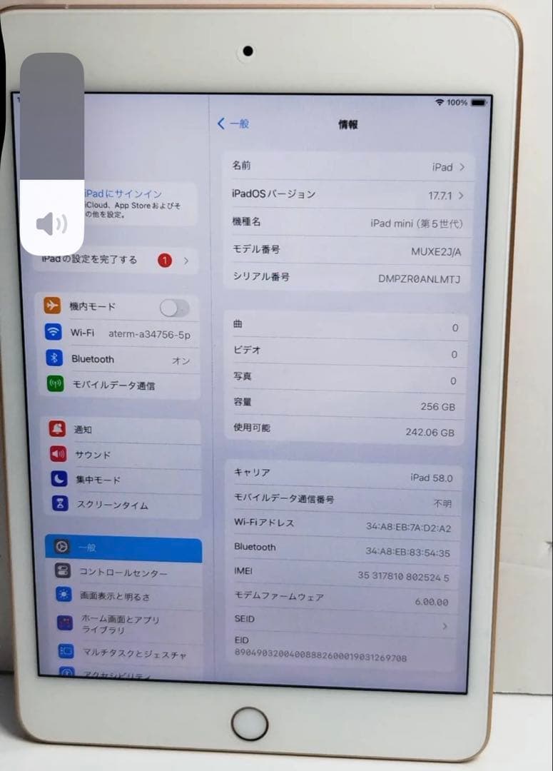 t*a様 良品iPad mini 5 WiFi+cellular256GB SI
