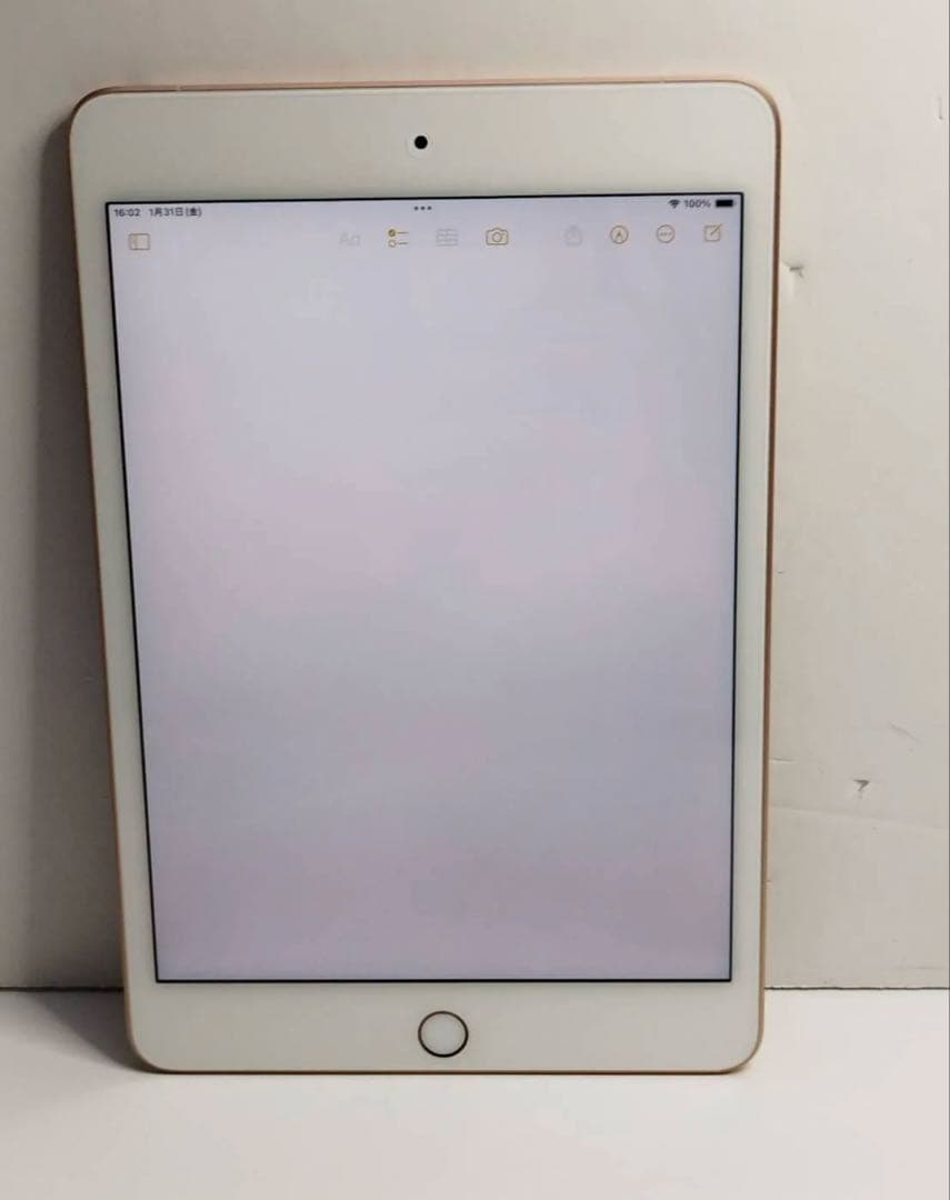 t*a様 良品iPad mini 5 WiFi+cellular256GB SI
