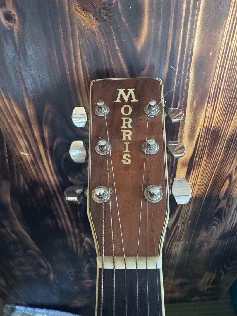 MORRIS アコースティックギター ケース付き