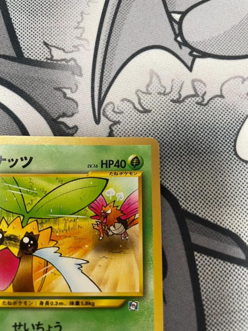 ポケモンカード 旧裏 ヒマナッツ ポケモンカードになったワケ 4巻 おまけカード