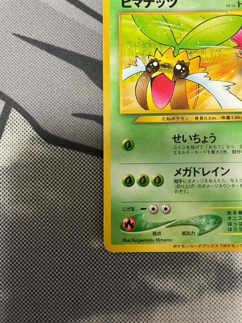 ポケモンカード 旧裏 ヒマナッツ ポケモンカードになったワケ 4巻 おまけカード