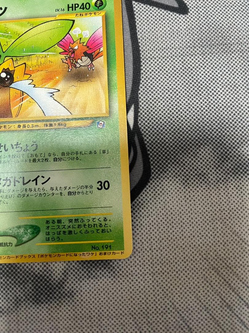 ポケモンカード 旧裏 ヒマナッツ ポケモンカードになったワケ 4巻 おまけカード
