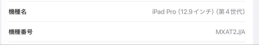 【値下げ中】 12.9インチ iPad Pro Wi-Fi 256GB 第4世代
