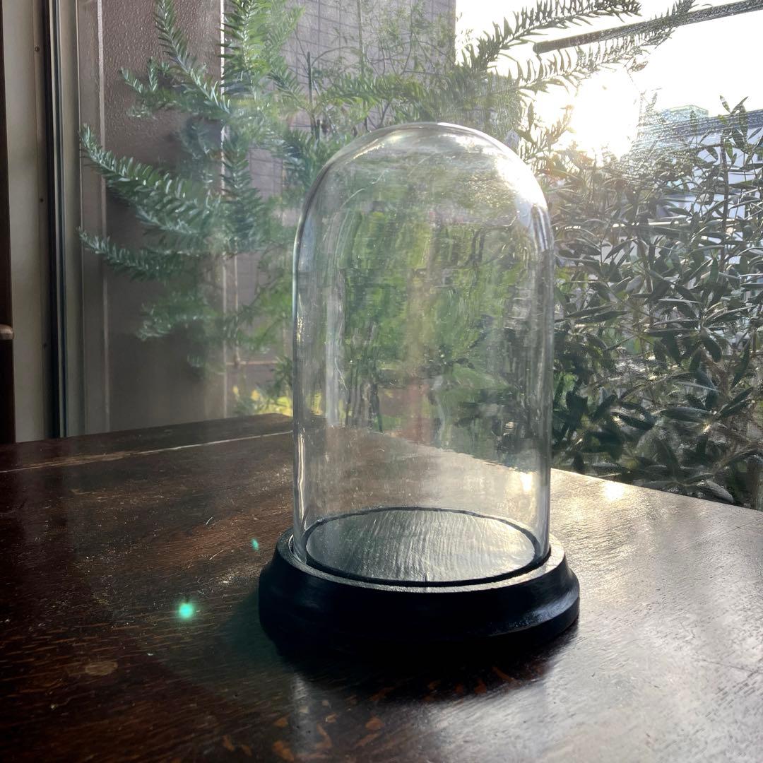 フランスアンティーク　ガラスドーム　気泡