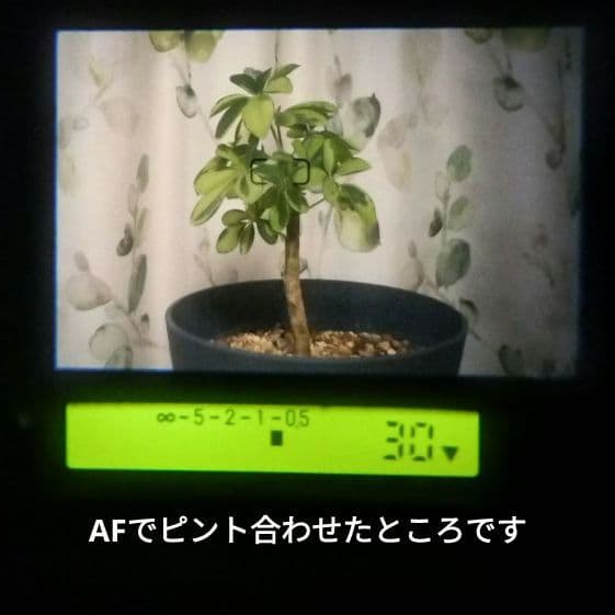 CONTAX G1 フィルムカメラ