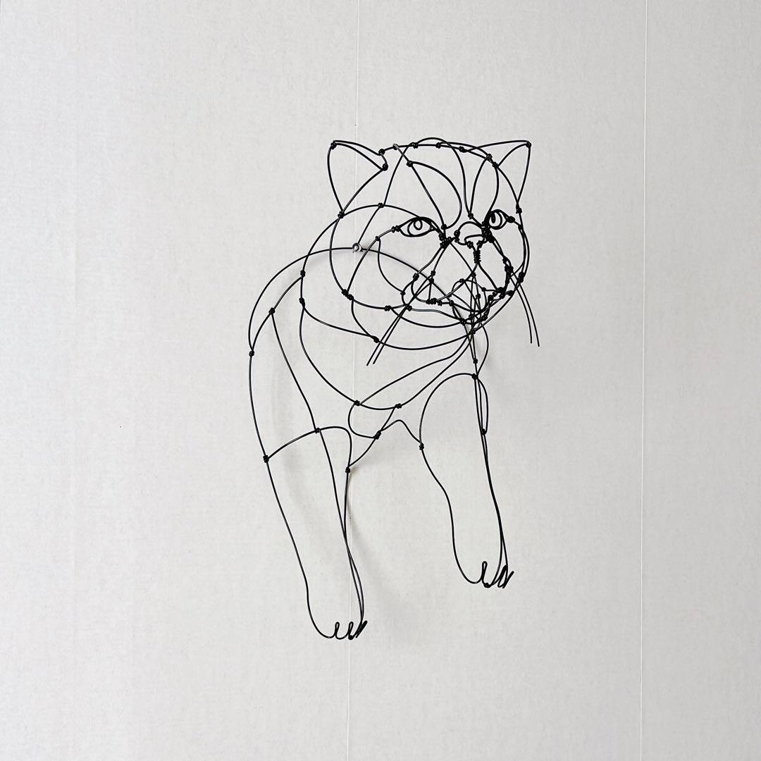 エキゾチックショートヘア　/ ワイヤーアート