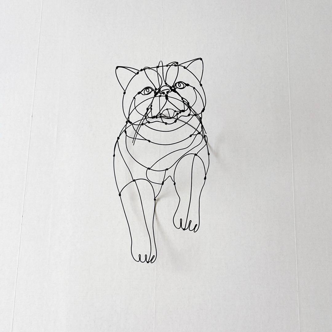 エキゾチックショートヘア　/ ワイヤーアート