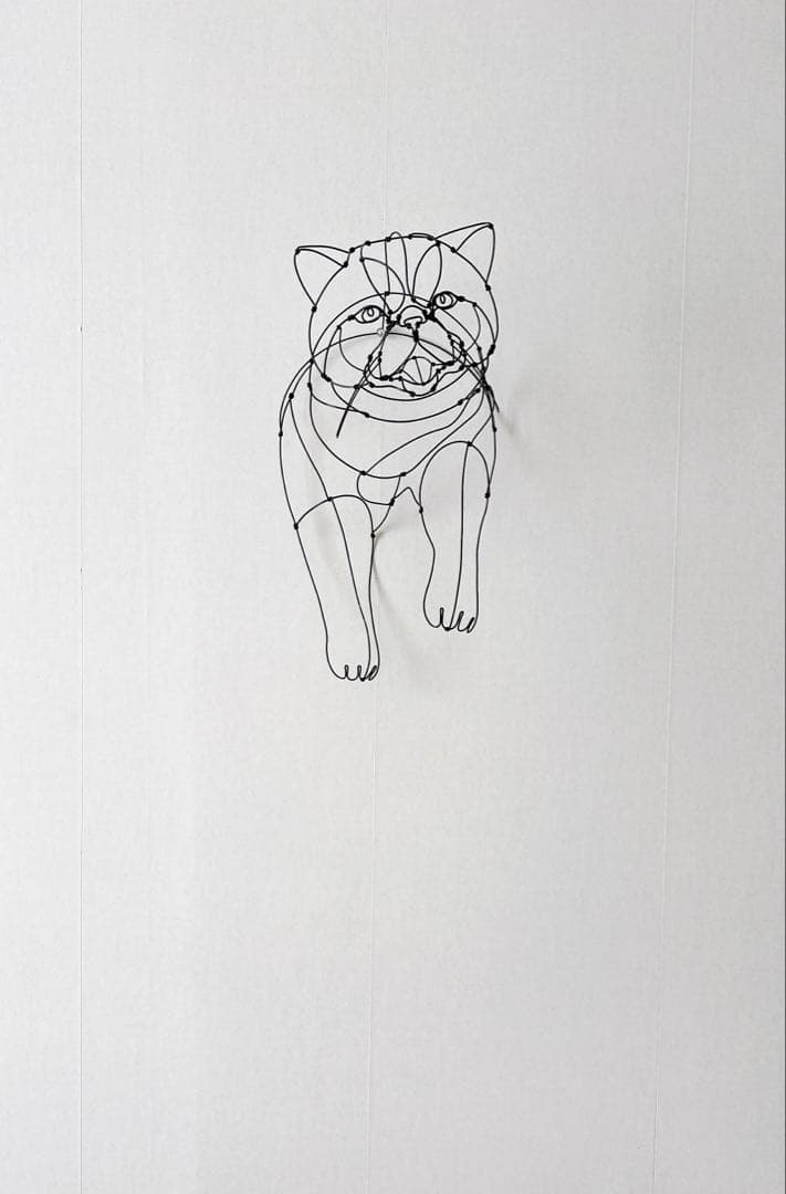 エキゾチックショートヘア　/ ワイヤーアート