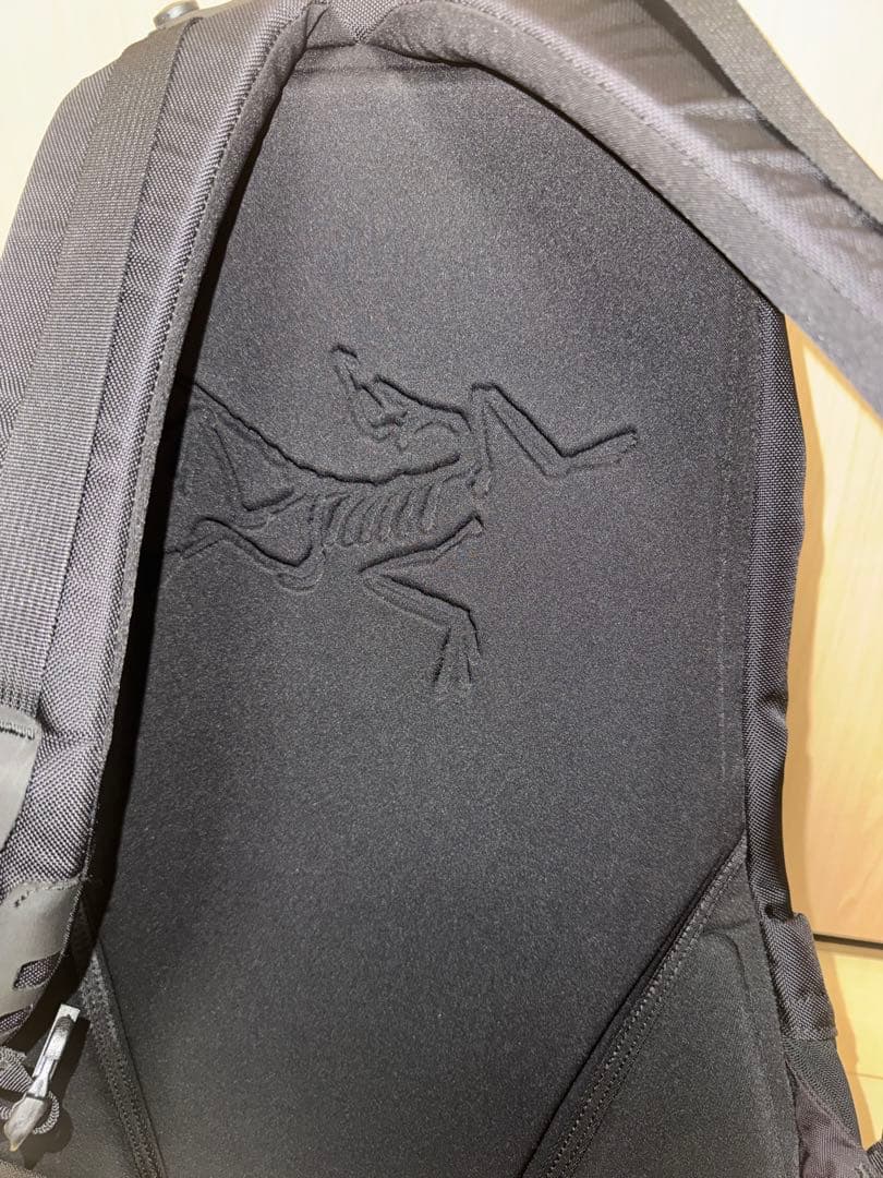 ⭐️美品使用期間浅　アークテリクス バックパック arro16 廃盤 ブラック
