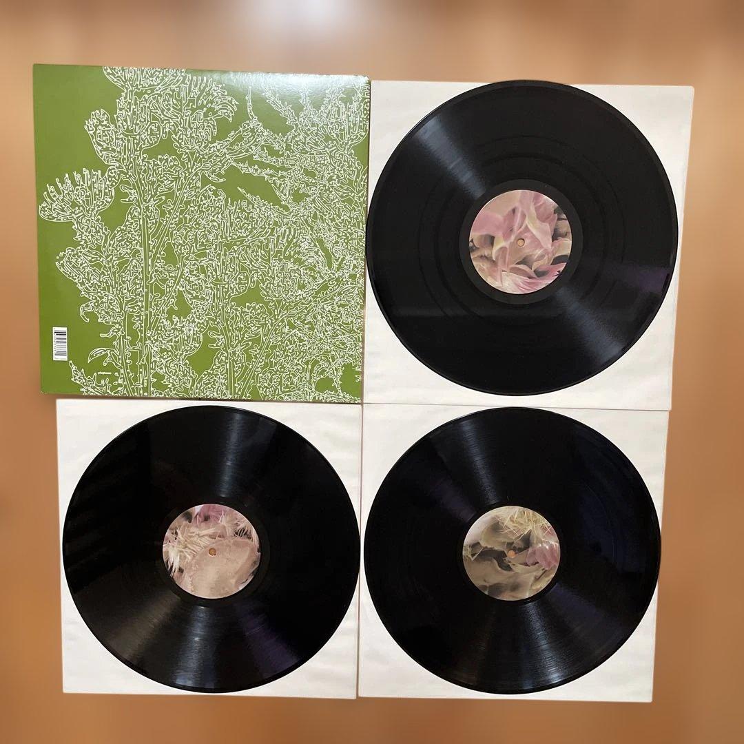 RICARDO VILLALOBOS ALCACHOFA レコード3枚組