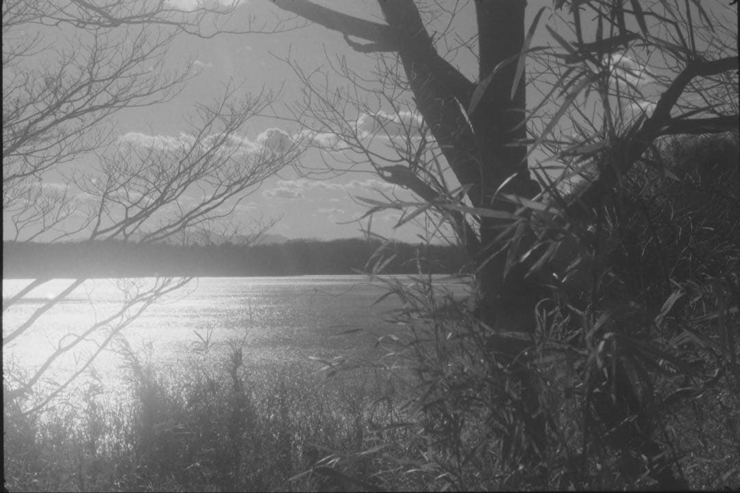 「希少」Leica Leitz Elmar 35mm f3.5 L39マウント