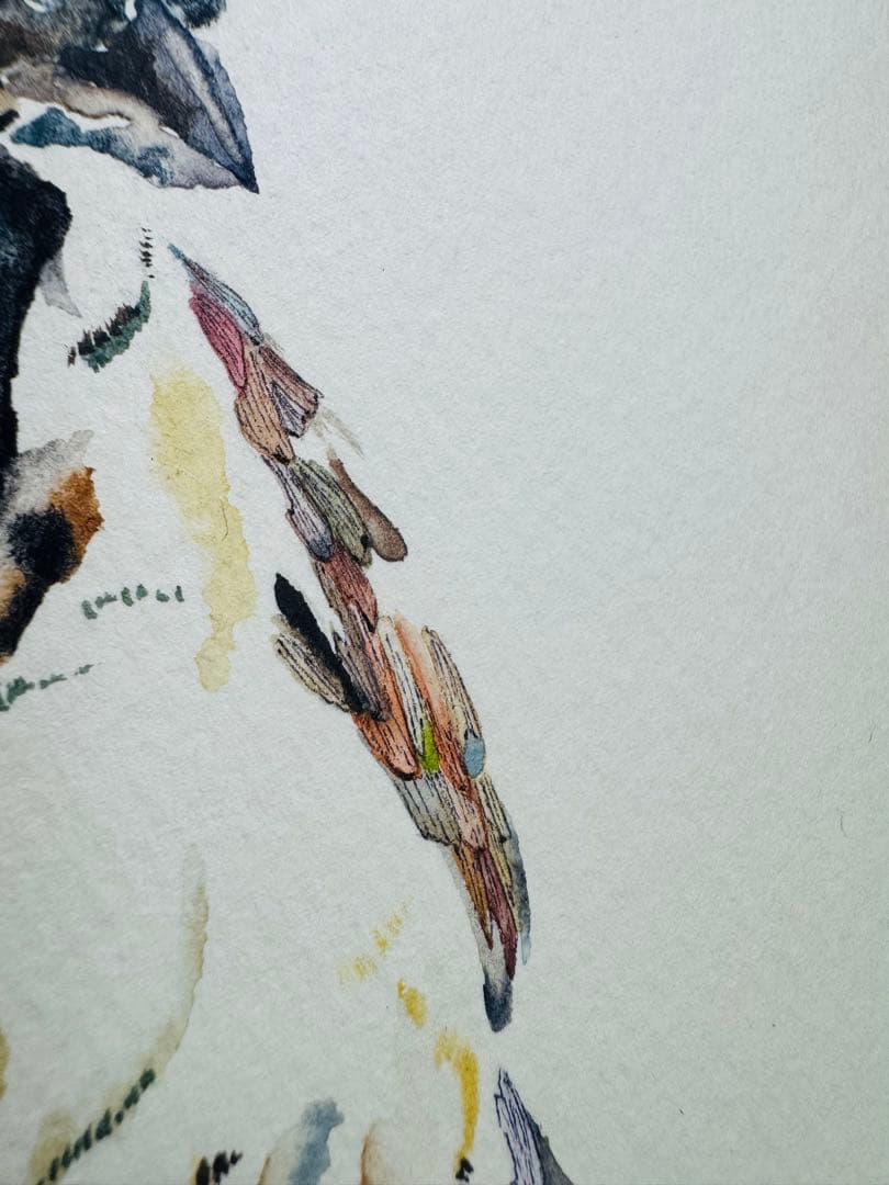 雀 すずめ 額装付き 原画