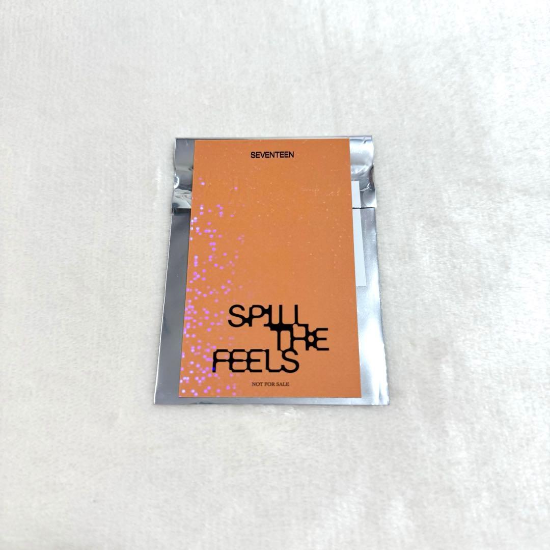 SEVENTEEN SPILL THE FEELS ラキドロ ウジ