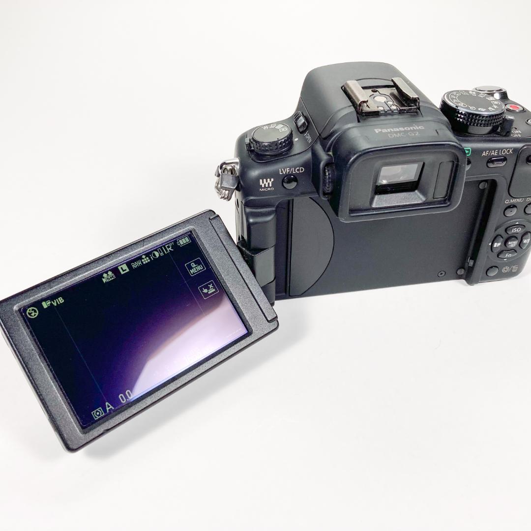 【ショット数 7000枚台・美品】LUMIX G2 ブラック