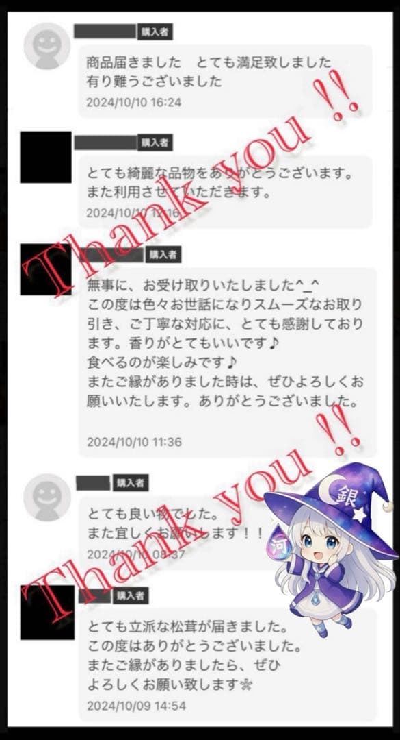 【大人気‼︎ 開きセット 330g 今期最終‼︎】本日採れ‼︎ 松茸◆クール便発送◆