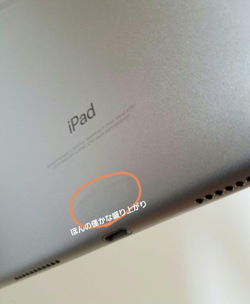 iPad Pro10.5 256gb　Wi-Fiモデル　シルバー