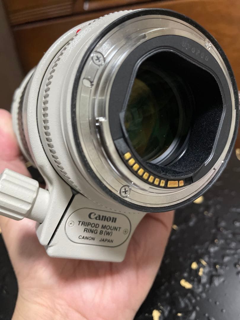 Canon EOS 5D Mark Ⅳ 本体とレンズセット＋三脚+エクステ