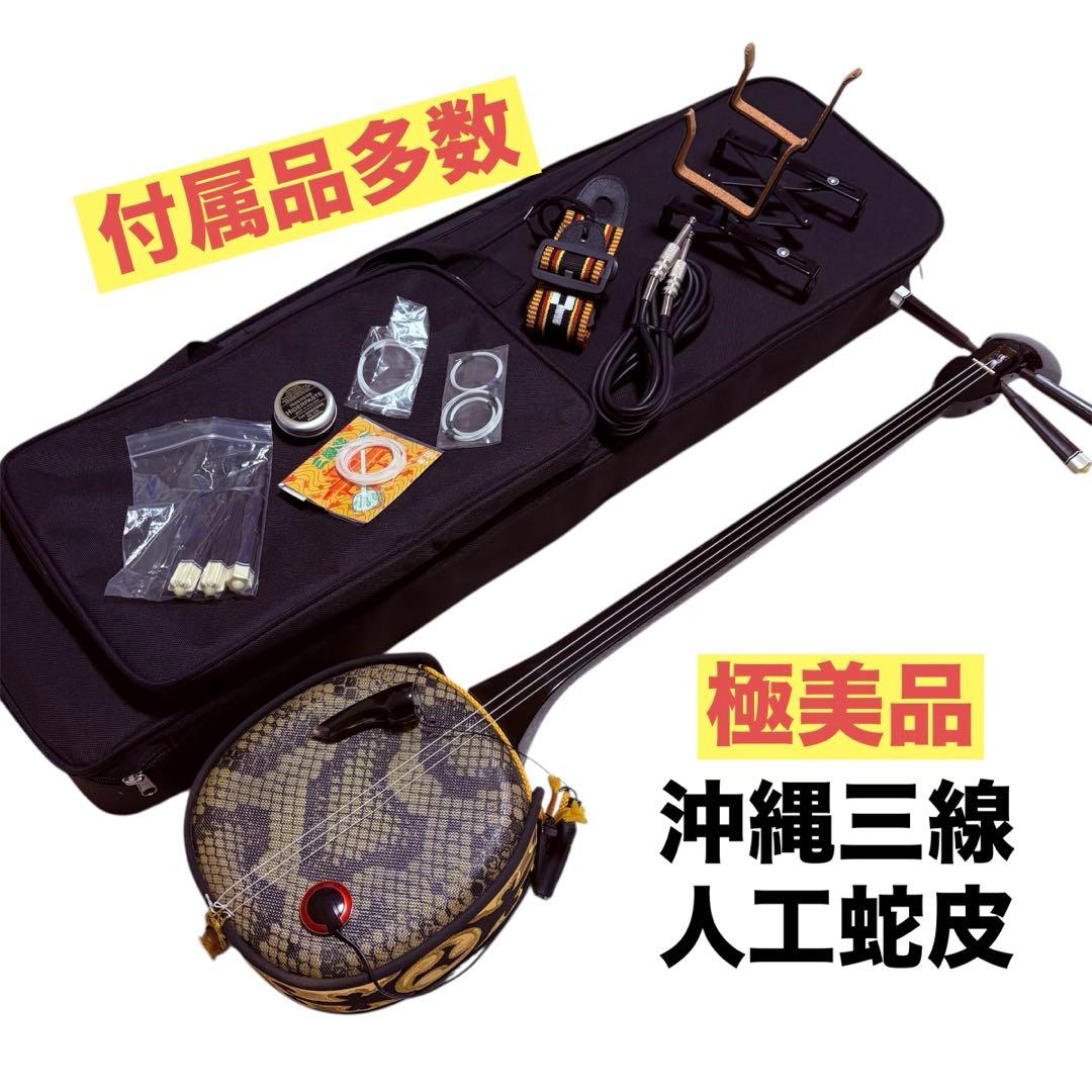 【ケース/付属品多数】 美品 三味線 琉球 楽器 入門 初心者